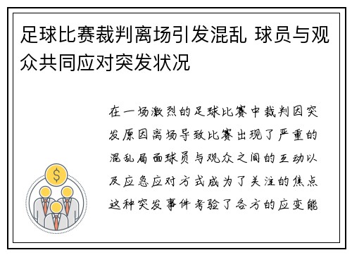足球比赛裁判离场引发混乱 球员与观众共同应对突发状况