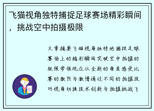 飞猫视角独特捕捉足球赛场精彩瞬间，挑战空中拍摄极限