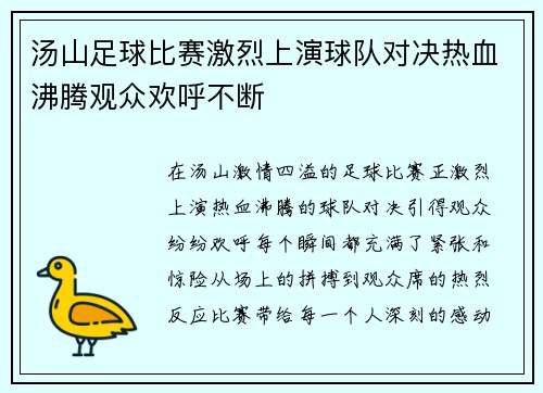 汤山足球比赛激烈上演球队对决热血沸腾观众欢呼不断